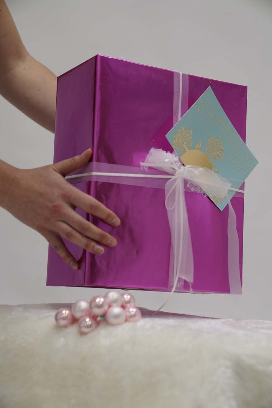 Certificación de Consultor Especialista en Transporte - Paquete Básico - KOKADI