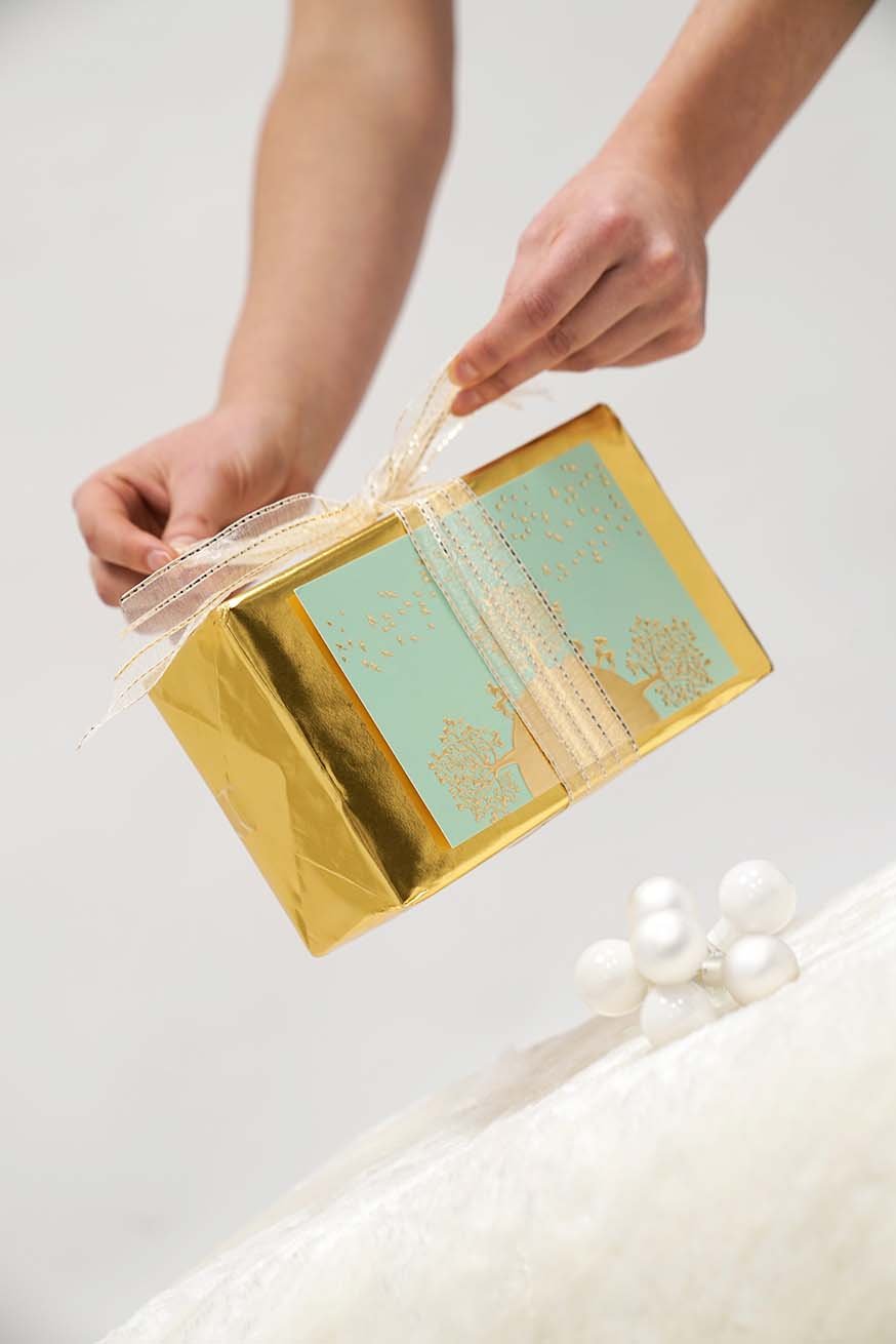 Certificación de consultor especialista en transporte - Paquete Premium - KOKADI